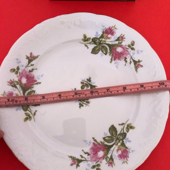 Royal Kent 6  Poland Moss Rose Gold Dinner Plate Set Cottage Holidays China Set - Picture 5 of 6